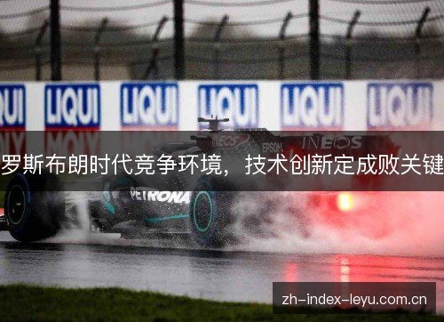 罗斯布朗时代竞争环境,技术创新定成败关键 罗斯布朗时代竞争环境,技术创新定成败关键