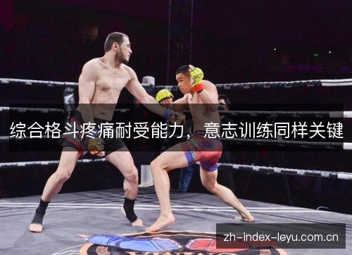 综合格斗疼痛耐受能力,意志训练同样关键 综合格斗疼痛耐受能力,意志训练同样关键