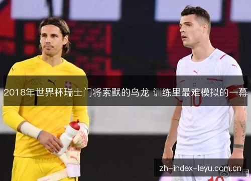 2018年世界杯瑞士门将索默的乌龙 训练里最难模拟的一幕 2018年世界杯瑞士门将索默的乌龙 训练里最难模拟的一幕